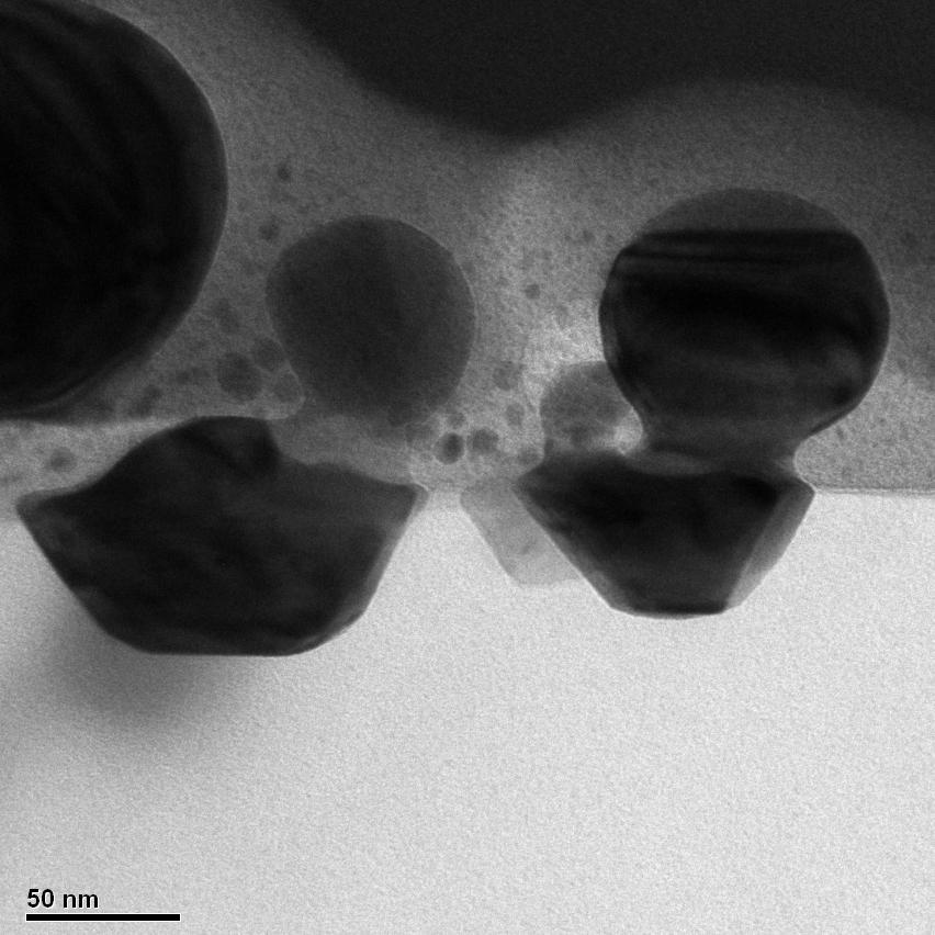 TEM image